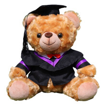 Plush Bear Graduation Gift with Removable Hat