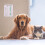 Pet Feeding Reminder Magnetic Sticker AM/PM Chart 2 Pack 6