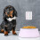 Pet Feeding Reminder Magnetic Sticker AM/PM Chart 2 Pack 4