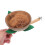 Parrot Perch Stand Wooden Design 1 Piece 5