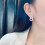 925 Silver Drop Earrings with Cubic Zirconia A Pair 2