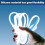 Flexible Car Hood LED Strip White Silicone 1 Pack 6