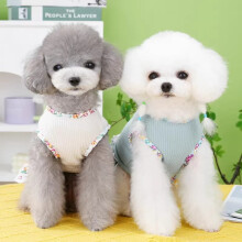 Robe de princesse printemps-automne pour chats et petits chiens