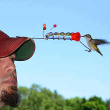 Handheld Hummingbird Feeder with Clip and Red Berries 2 Pack