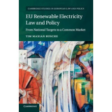 EU Renewable Electricity Law and Policy by Tim Maxian Rusche Paperback
