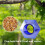 Handmade Glass Bird Feeder Blue Flower Fly-Through Design 5