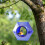 Handmade Glass Bird Feeder Blue Flower Fly-Through Design 6