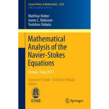 Mathematical Analysis of the NavierStokes Equations Cetraro Italy 2017