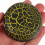 Supvox Wood Yoyo Crack Pattern 1 Piece 3