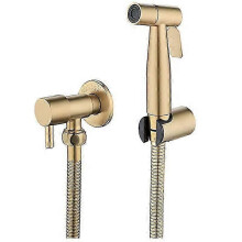 Stainless Steel Toilet Bidet and Toilet Sprayer, Bidet Sprayer Kit,(Gold)