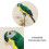 Artificial Feather Parrot Craft Decoration 4