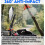 Motorcycle Mirrors compatible Handlebars, ATV Mirrors Featuring a Phone Mount Interface, Anti-impact/explosion/glare,HD,Compatible with Motorcycle (S 3