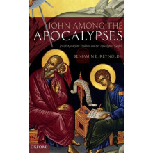 JOHN AMONG APOCALYPSES C by REYNOLDS Hardcover Book