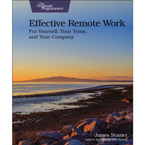 Effective Remote Work For Yourself Your Team and Your SPany by Stanier