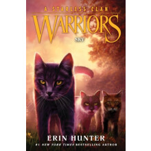 Warriors A Starless Clan 2 Sky by Erin Hunter Hardcover Book