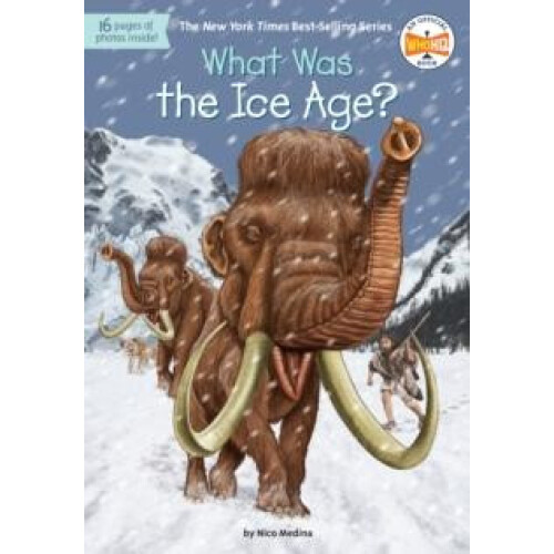 What Was the Ice Age by David Groff Paperback Book
