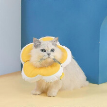 Adorabile collare anti-leccamento per animali domestici con fiore, taglia L, giallo