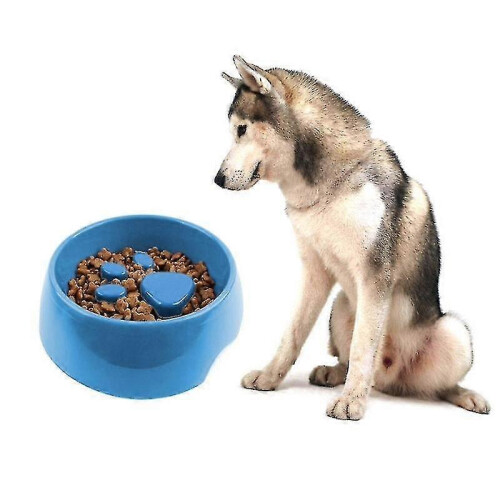 Slow Feed Dog Bowl Anti-Choking Design