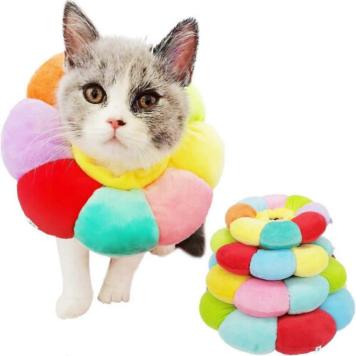 Cône de convalescence ajustable pour chat et petit chien, collier élisabéthain post-opératoire