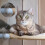 8 Suction Cups Replacement for Cat Window Perch Hammock Pet Supplies 3