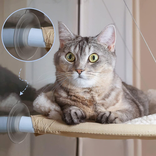 8 Suction Cups Replacement for Cat Window Perch Hammock Pet Supplies 2