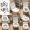 High Quality Toilet Training Kit for Cats 3