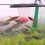 Red Worm Cup Feeder Funnel Cone With Suction Cup For Fish Tank 3