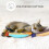 Catnip Chew Toys 3 Pack Bite Resistant Bell Inside Plush Teething Kitten Interactive 4