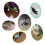 Electric Automatic Cat Toy Mouse Pet Cat Agility Toy 3