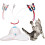 Automatic Electronic Rotating Interactive Cat Toy for Indoor Cats 1