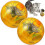 2 Pack LED Motion Cat Balls Interactive Light Up Running Toys for Exercise 1