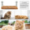 Hamac pliable à ventouse pour chat, siège de lit confortable pour fenêtre 4