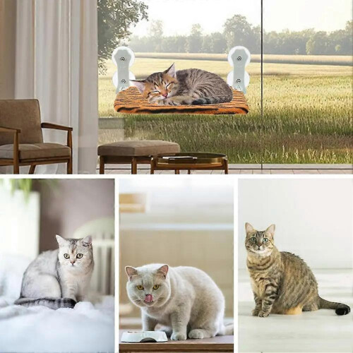 Hamac pliable à ventouse pour chat, siège de lit confortable pour fenêtre 2