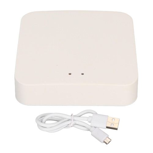 Tuya Smart Gateway WiFi Bridge for Google Assistant Remote Voice Control