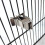 3 Pack Bird Cage Food Holders Parrot Fruit Vegetable Feeder Metal Clips 5