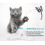 Automatic Electronic Rotating Interactive Cat Toy for Indoor Cats 3