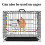 Handmade Wood Chicken Perch Swing Toy for Hens 5