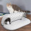Play Tunnel & Bed for Cats Small Medium Large & Other Pets Bunny 4