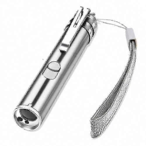 USB Rechargeable Laser Pointer Toy for Cat Pet Training with LED Light 2