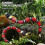 Sensing Snake Design Electronic Cat Toy USB Rechargeable Auto Obstacle Avoidance Flashing Eyes 40cm 2