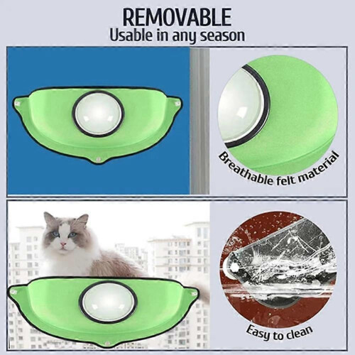 Hamac pour chat avec fenêtre, lit en EVA vert à ventouses, siège de bronzage 1