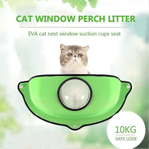 Hamac pour chat avec fenêtre, lit en EVA vert à ventouses, siège de bronzage 2