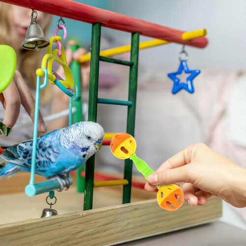 2-Pack Plastic Parrot Shakers 2x4x1.5cm Auditory Training Educational Instrument Pets Assorted Color 2