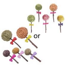 5-Pack Chew Toys Timothy Balls Apple Twigs Hay Treats Dental for Small Pets Multicolor 2