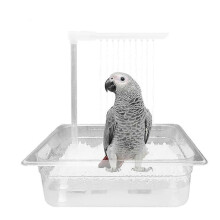 Douche de baignoire automatique Parrot Ă circulation d'air Ă 180 pour perruche grise d'Afrique, prise UE, transparente
