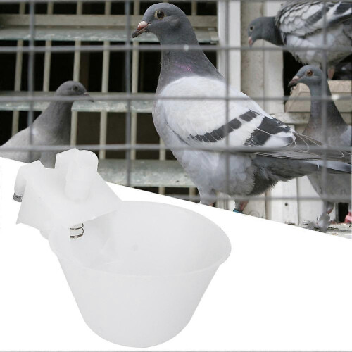 12-Pack Automatic Hanging Drinking Cups for Quail Pigeon Cage Bird Feeding Equipment 1