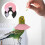 2Pcs Bird Recovery Collar Rings Anti-Pecking Parrot Protective Collars 5