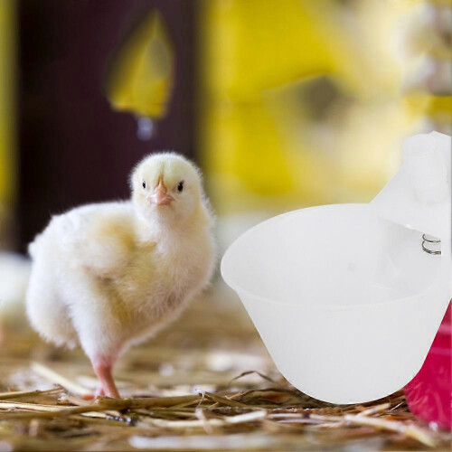 12-Pack Automatic Hanging Drinking Cups for Quail Pigeon Cage Bird Feeding Equipment 2