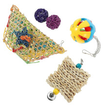 Assorted Color Hanging Chicken Feeder Chew Toy 5-Piece Set for Hens 24X12X10CM