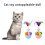 Blue Feathered Pompom Cat Teaser Toy Gift for Indoor Felines 2